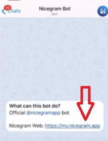 Telegram bu kanal görüntülenemiyor hatası