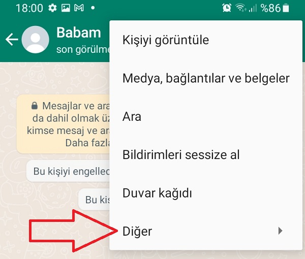 WhatsApp bu kişiyi engellediniz yazısı nasıl silinir