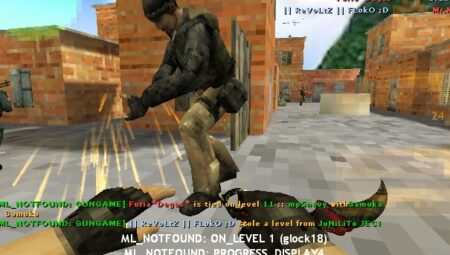GL_ANSIO CS 1.6 nedir?