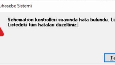 Schematron Kontrol Sonucu Hatalı ne demek ?