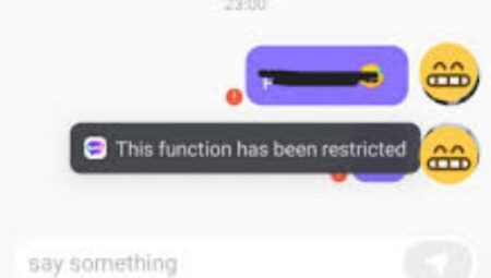 Sugo this function has been restricted ne demek ?
